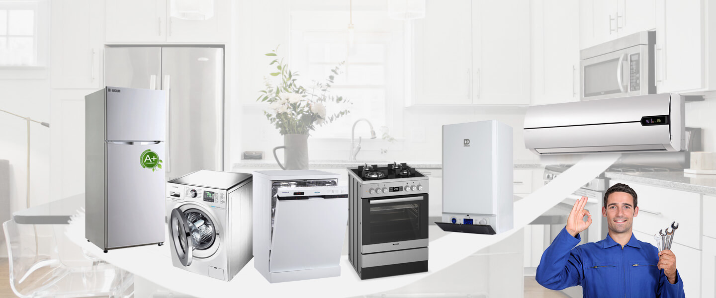 Aydıntepe Electrolux Servisi